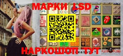 гашик Будённовск