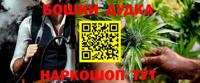 гашик Будённовск