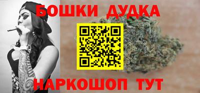 гашик Будённовск