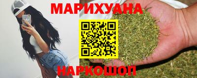 гашик Будённовск