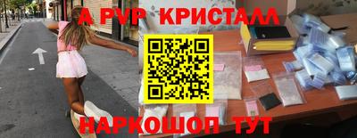 гашик Будённовск