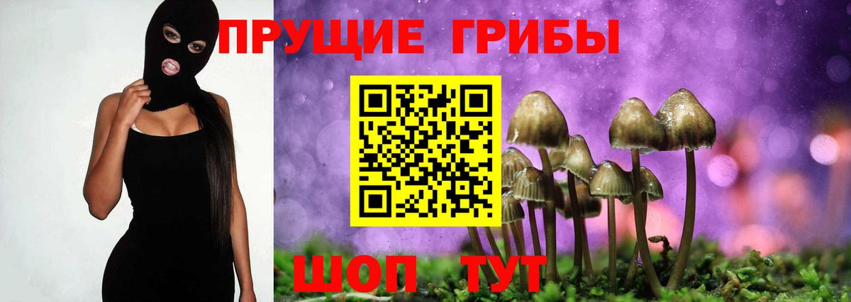 Псилоцибиновые грибы GOLDEN TEACHER  Вход с VPN  Волхов 